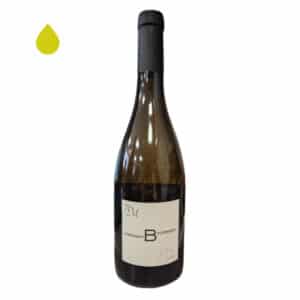 Bourrassol Blanc - Domaine Benoit Montel 2023